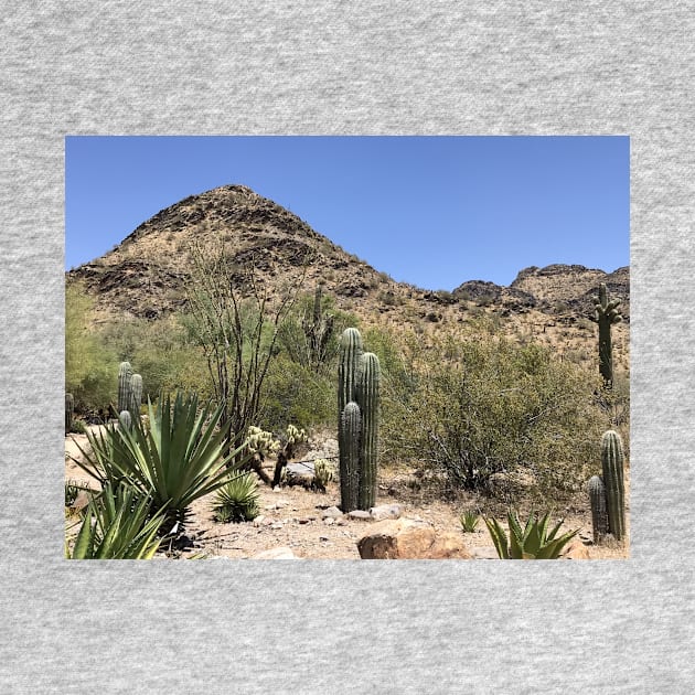 Arizona desert by littlebird